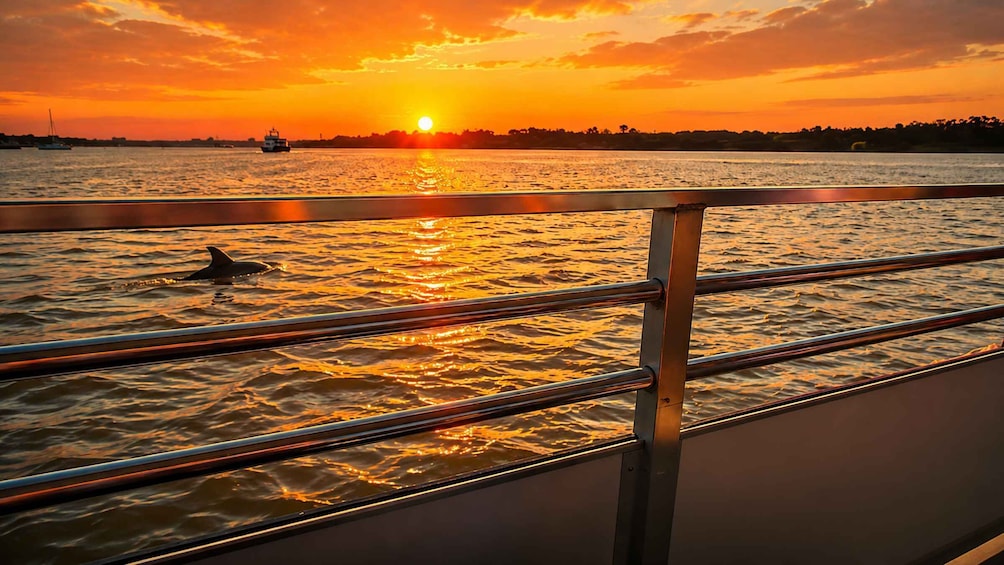 Savannah: Sunset Dolphin Watching Eco Tour by Boat 1