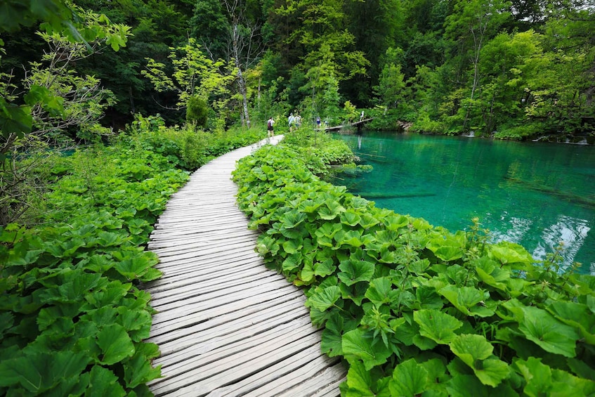 Picture 6 for Activity Zadar: Plitvice Lakes National Park Tour with Boat and Train 3