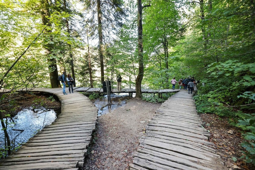 Zadar: Plitvice Lakes National Park Tour with Boat and Train 1