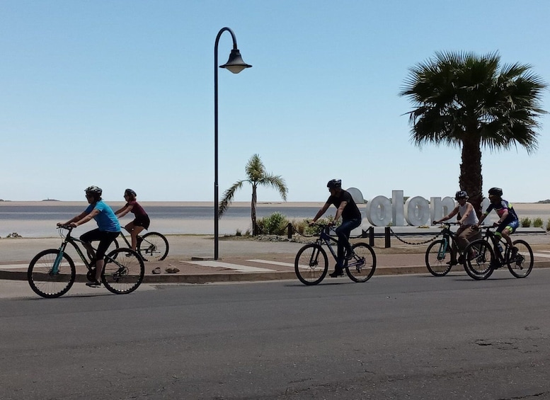 Picture 7 for Activity Colonia del Sacramento: Adventure Sightseeing Bike Tour 1