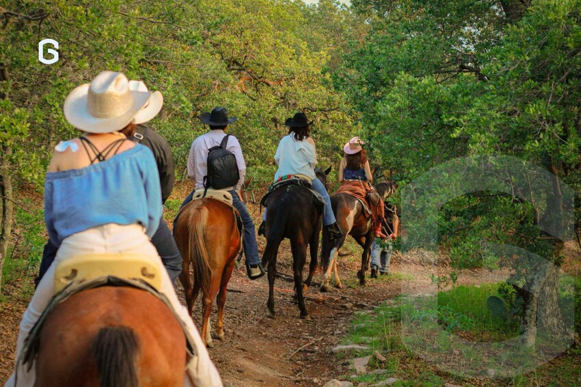 Picture 13 for Activity Horseback Riding in the Guanajuato Hills 5