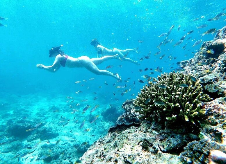Dos personas haciendo snorkel en aguas azules cristalinas con un arrecife de coral y peces. 4