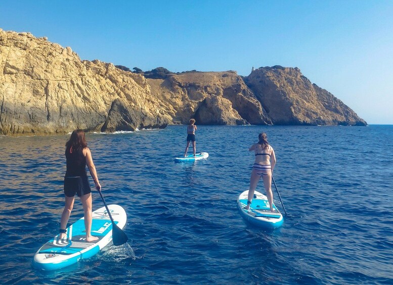 Picture 11 for Activity Cala Ratjada: Stand Up Paddle morning or afternoon Tour 5