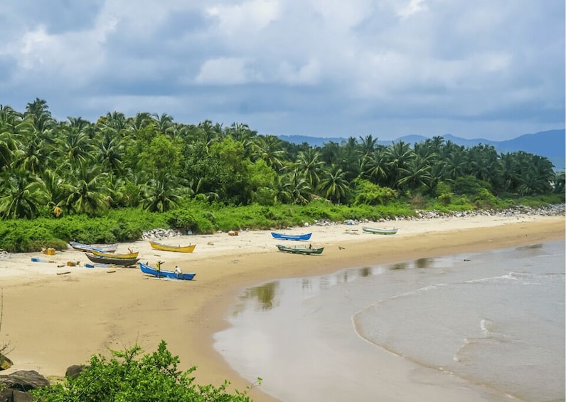 Picture 1 for Activity Gokarna Nature Walk (3 Hours Guided Trekking Experience) 5