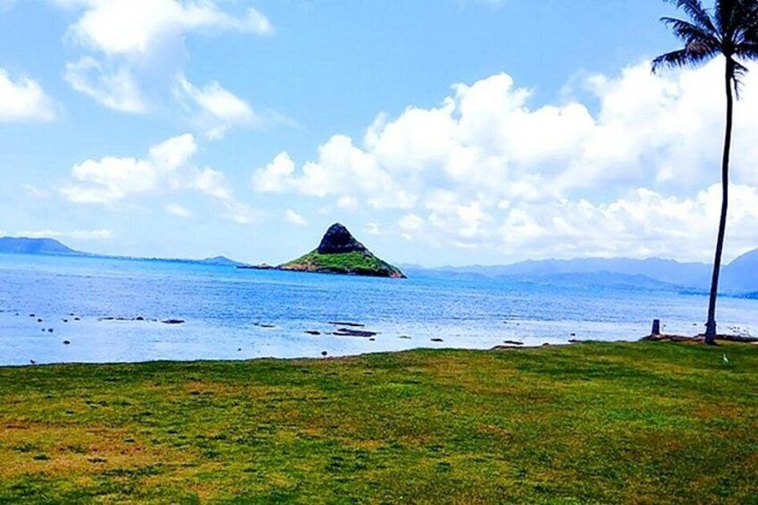 A grassy beach with a palm tree, a small island, and a clear sky. 2