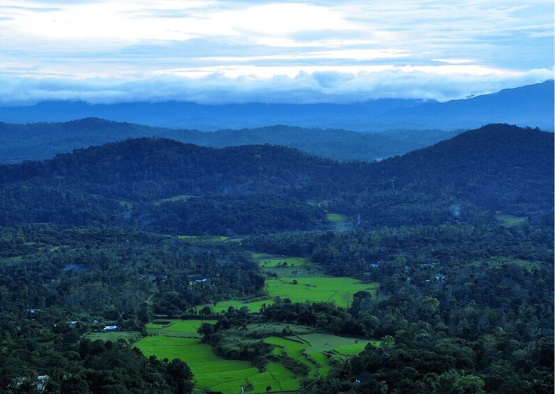 Picture 2 for Activity Nature & Spiritual Trails of Coorg (Guided Walking Tour) 4