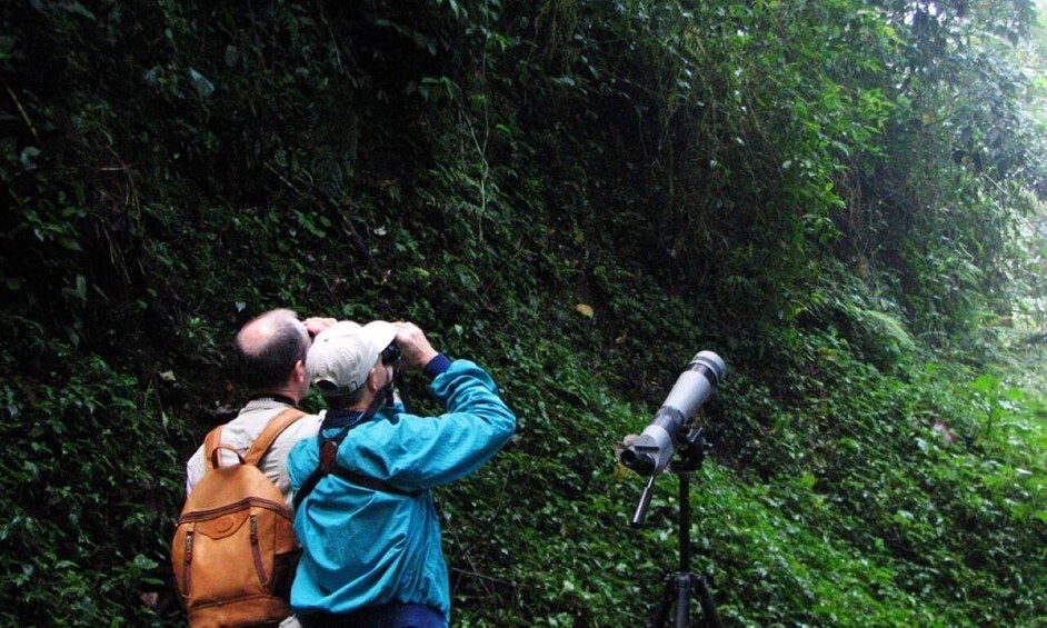 Two people using a telescope in a dense forest. 2