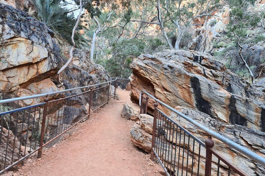 West MacDonnell Ranges Half day Tour -Small Group 2