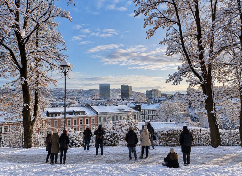 Picture 5 for Activity Oslo: Norwegian Food Tour & Hidden Gems City Walk 5