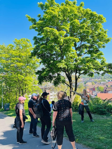 A group of people standing on a path with a tree and a view of a town in the background. 2