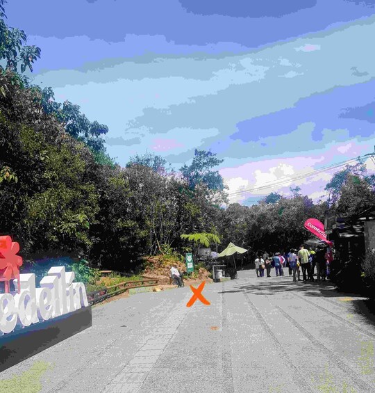 Picture 18 for Activity Arvi Fog Forest Walking Tour 2