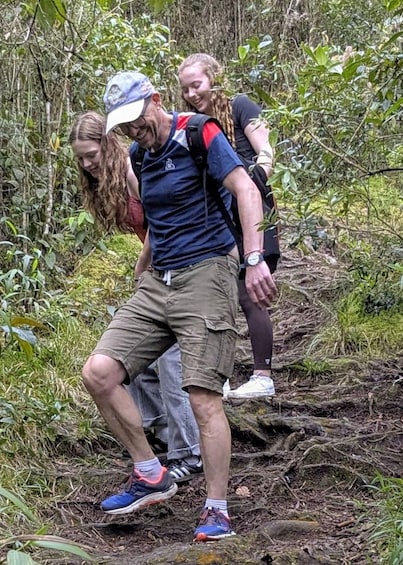 Picture 22 for Activity Arvi Native Forest Walking Tour 2