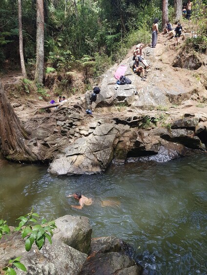 Picture 20 for Activity Arvi Claudy Forest Walking Tour 3