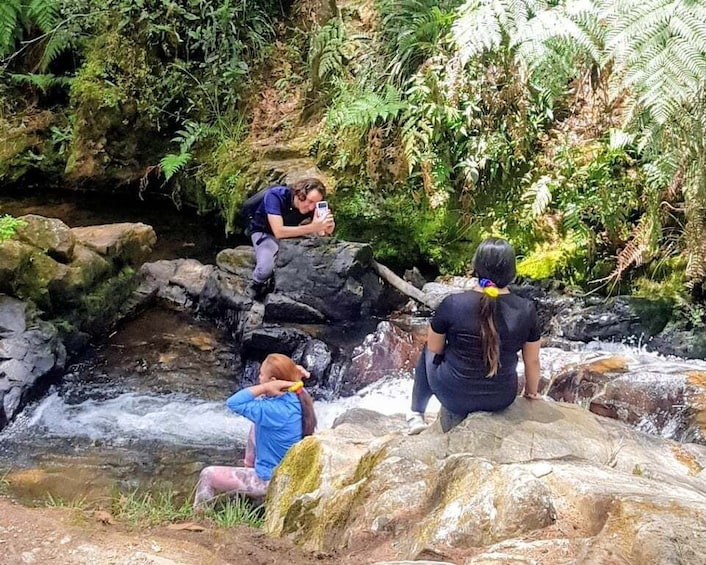 Picture 19 for Activity Arvi Fog Forest Walking Tour 2