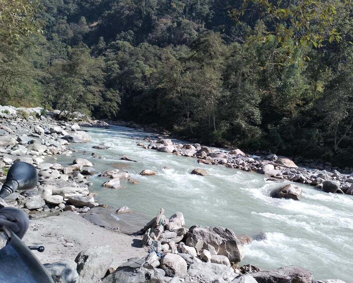 Picture 4 for Activity From Pokhara: 7 Days Budget backpackers group ABC Trek 2