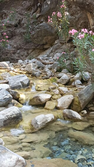 Picture 4 for Activity Samaria Gorge Private Transfer from Chania 5