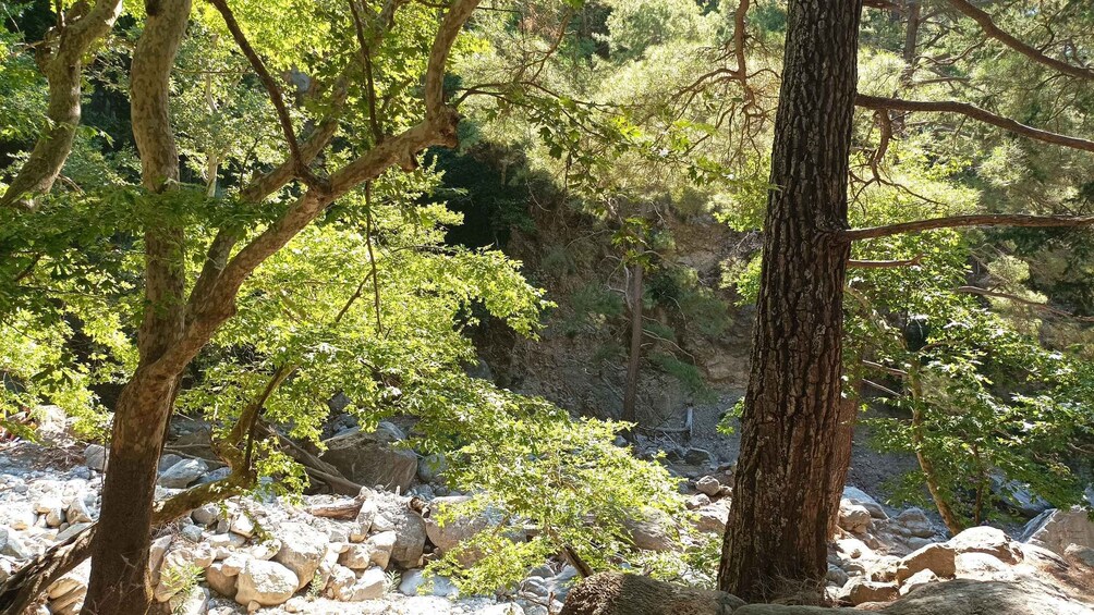 Samaria Gorge Private Transfer from Chania 2