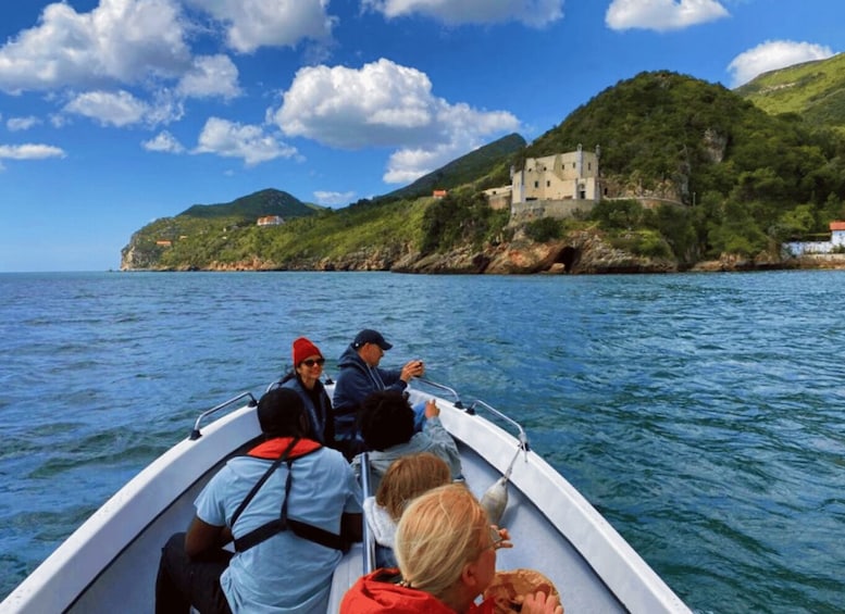Picture 4 for Activity From Sesimbra: Arrábida Natural Park & Tróia Sandbanks Tour 3