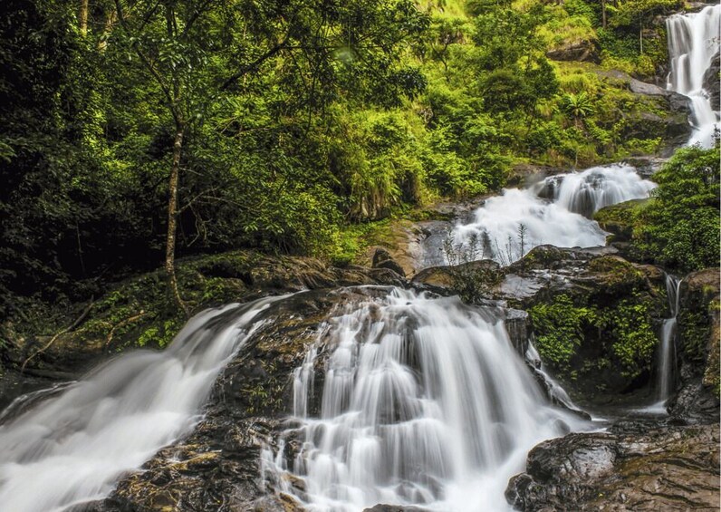 Touristic Highlights of Coorg (Guided Full Day Tour by car) 1