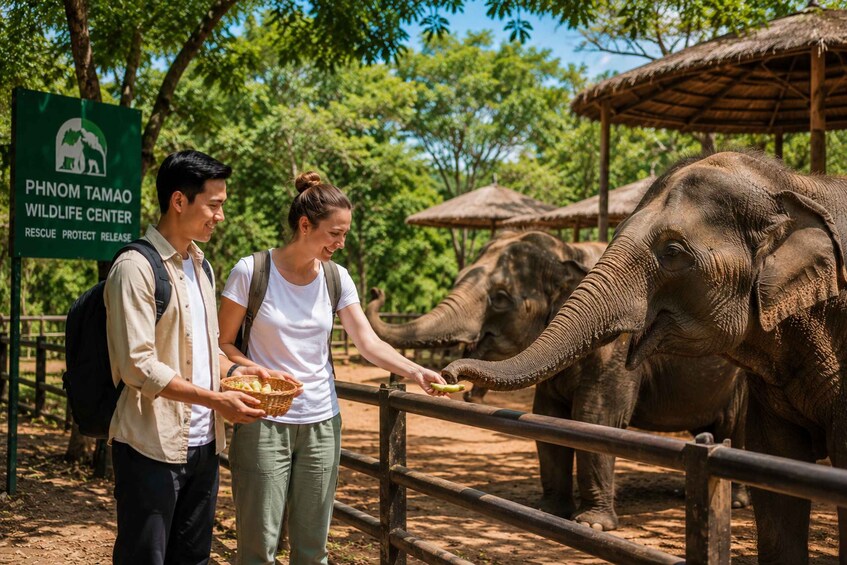 Two people feeding an elephant at the Phnom Tamao Wildlife Center. 1