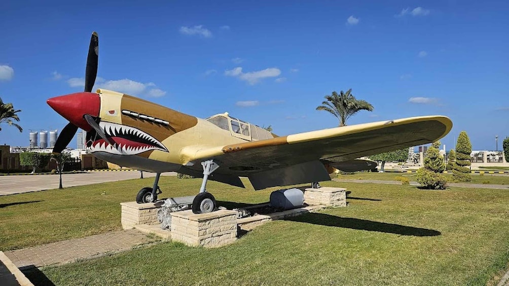 A vintage airplane with a shark mouth painted on the nose, displayed on a grassy field with palm trees and buildings in the background. 2