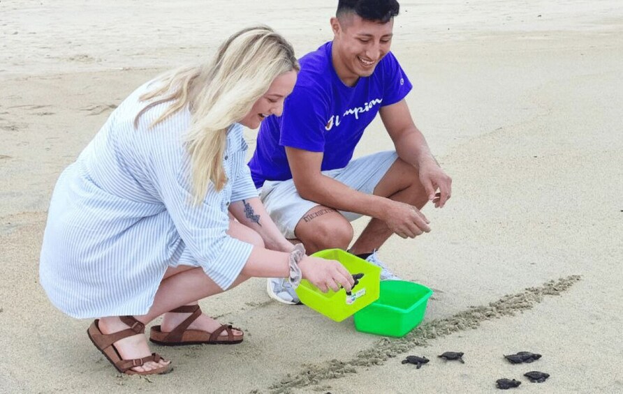 Picture 2 for Activity From Huatulco:Turtle Release and Bioluminescence Tour 5