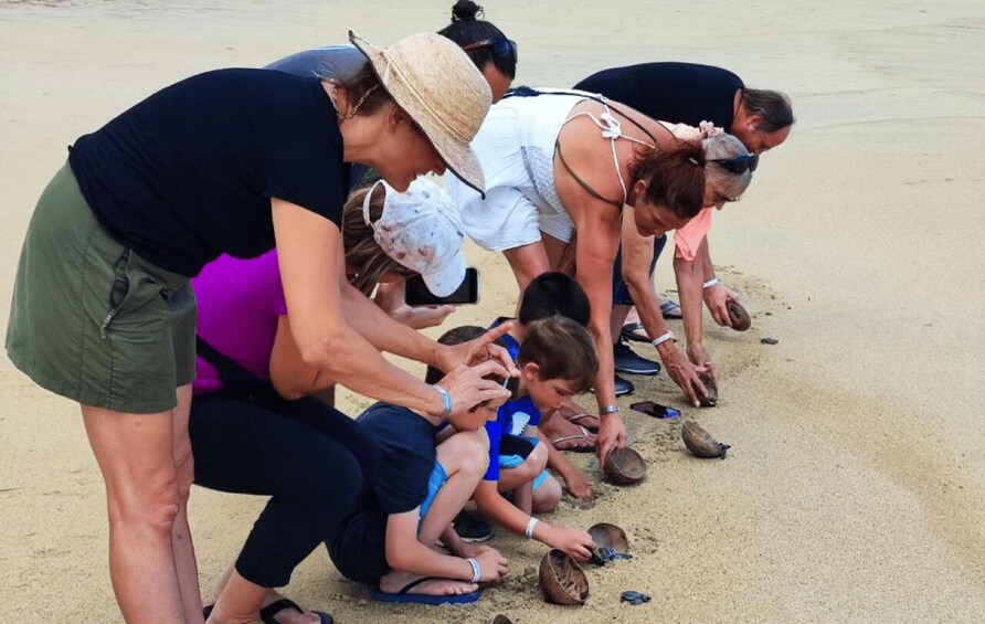Picture 3 for Activity From Huatulco:Turtle Release and Bioluminescence Tour 4