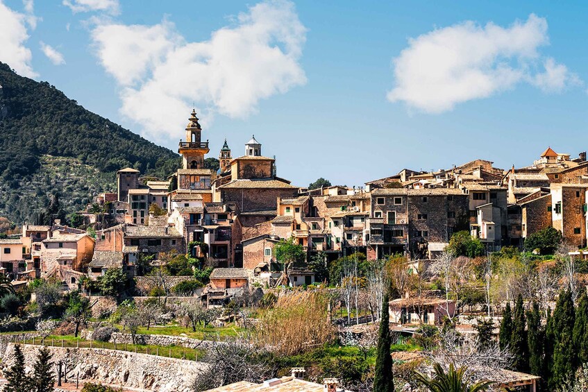 Palma, Cathedral & Valldemossa: Guided walking Tour 1