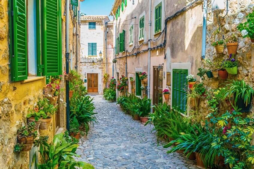 Picture 7 for Activity Palma, Cathedral & Valldemossa: Guided walking Tour 2