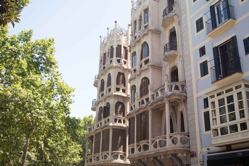 Picture 2 for Activity Palma, Cathedral & Valldemossa: Guided walking Tour 5