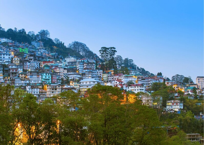 Picture 8 for Activity Gangtok Monastery Tour (Guided Half Day Tour by Car) 4