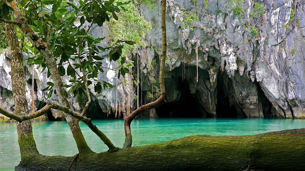A cave entrance with turquoise water, moss-covered trees, and rocky cliffs. 1