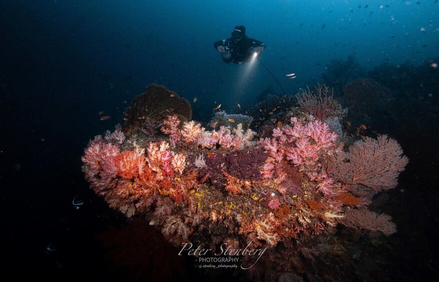 Picture 15 for Activity Scuba Diving in Boracay: SSI Basic Diver for Beginners 2