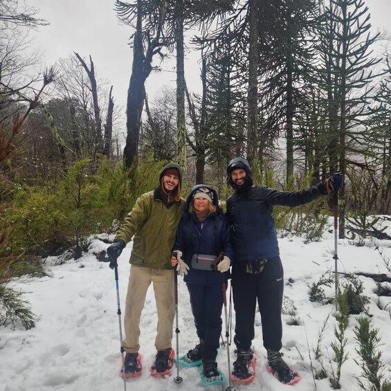 Picture 9 for Activity Pucón: Andean Lakes & Araucaria Forest Full-Day Hike 4