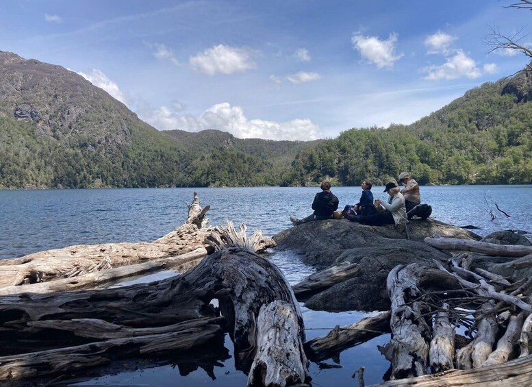 Picture 3 for Activity Pucón: Andean Lakes & Araucaria Forest Full-Day Hike 3
