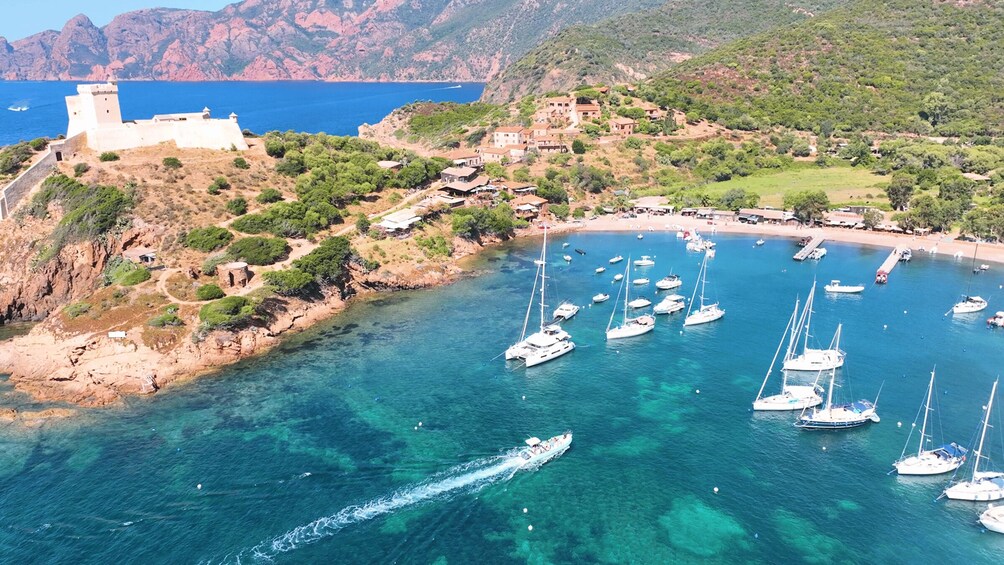Ile Rousse : Scandola and Girolata 2