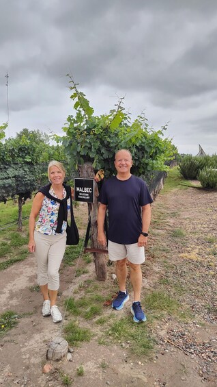 Picture 15 for Activity Mendoza's top wineries! Semi-private tour
