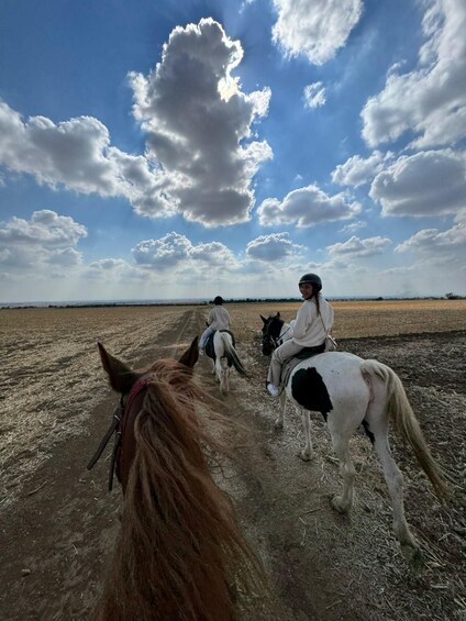 Three people riding horses on a dirt path with a vast open field and a partly cloudy sky in the background. 4