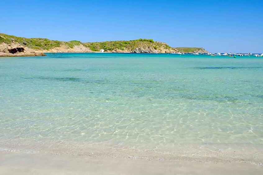 Picture 2 for Activity Menorca: Taxi-Boat from Es Grau to Colom Island 5