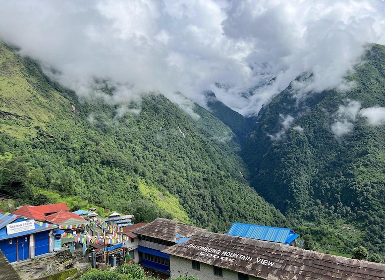 Picture 19 for Activity Kathmandu/Pokhara: 7-Day Annapurna Base Camp (ABC) Trek 3