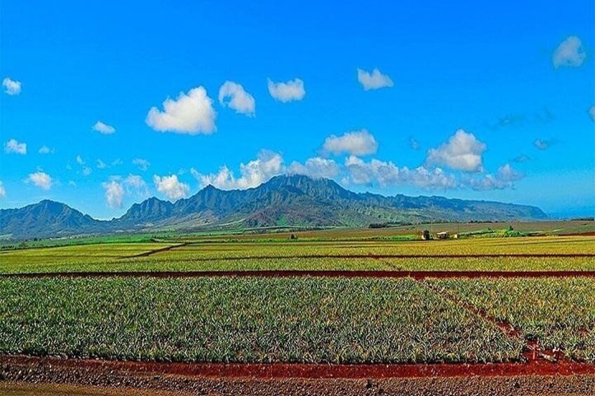 Oahu Grand Circle Island Experience from Waikiki 3