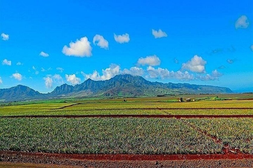 Oahu Grand Circle Island Experience from Waikiki 3