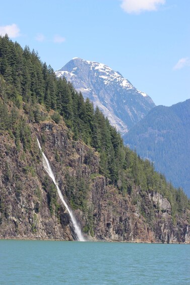 Picture 2 for Activity Campbell River: Spring Bear Watching & Waterfalls Boat Tour 5