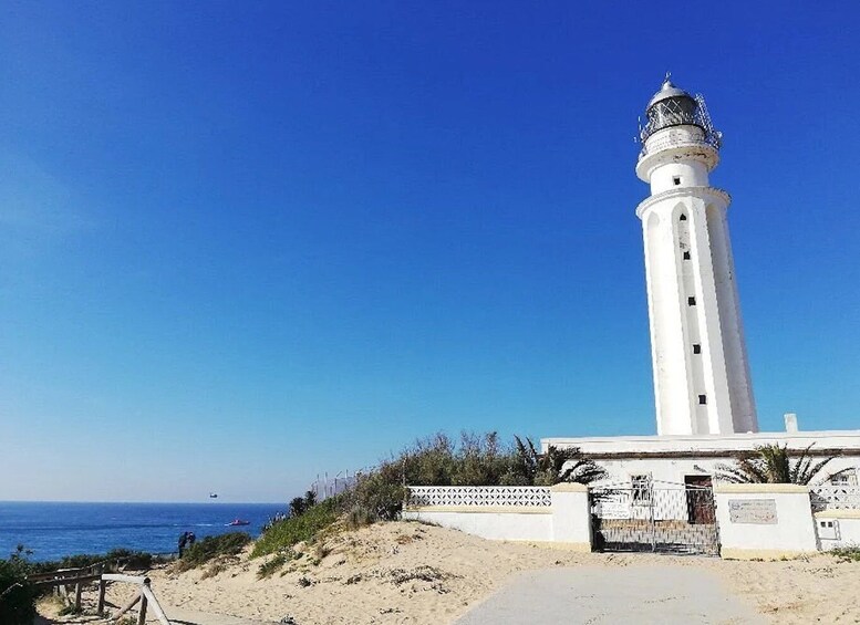 Picture 3 for Activity Barbate: La Breña Natural Park and Cape Trafalgar Boat Trip 3