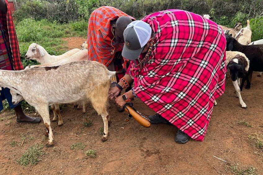 Maasai Village Experience Day Tour 4