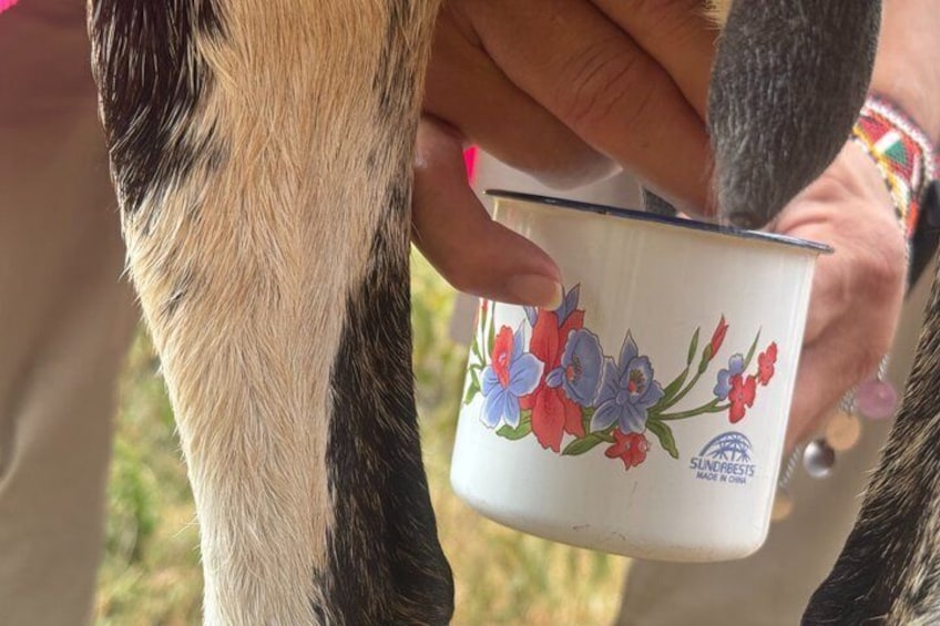 Maasai Village Experience Day Tour 2