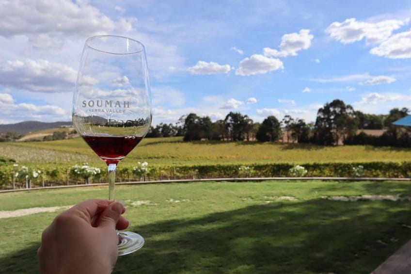 Perfect Soumah moment - premium wine with panoramic Yarra Valley landscape 2