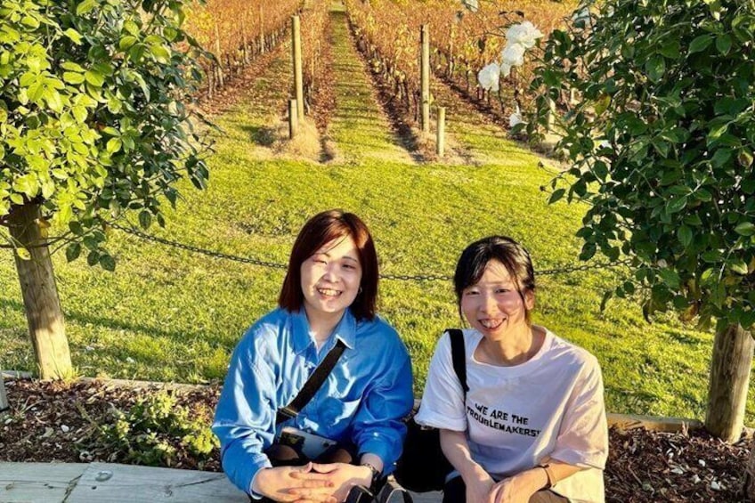 Yarra Valley Half-Day Winery Tour from Melbourne with Small Group 2