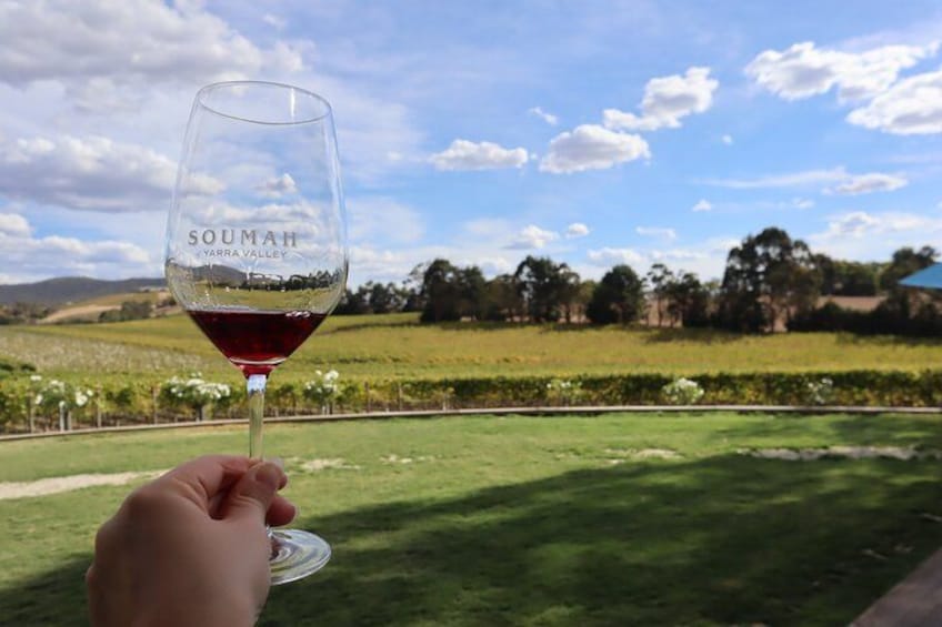 Perfect Soumah moment - premium wine with panoramic Yarra Valley landscape 2