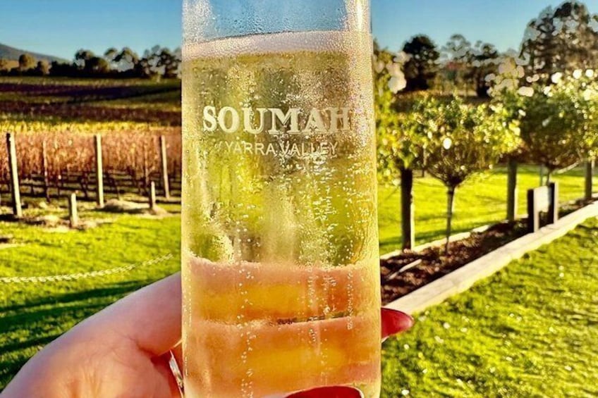 Yarra Valley Half-Day Winery Tour from Melbourne with Small Group 5
